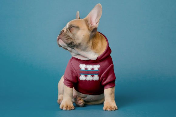 Dog Bone Split Applique Embroidery Review